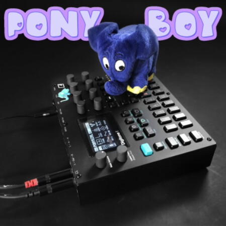 Sophie Ponyboy Cover Remake on the Digitone II